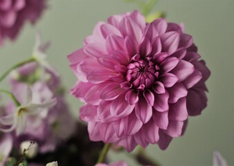 ムーンストーン