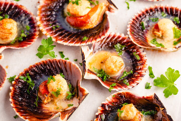 Cooked scallops with parsley