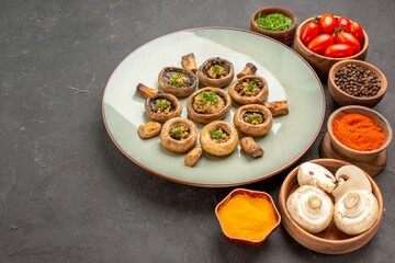 front view cooked mushrooms with tomatoes and seasonings on dark background dish meal cooking mushrooms dinner