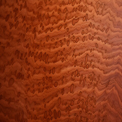 australian lacewood wood texture style 2