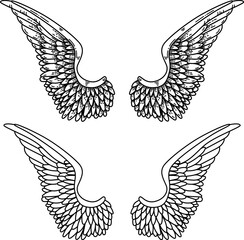 illustration of a pair of wings in black and white,  done in a tattoo-style. Angel wings. illustration of bird wings.