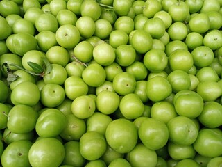 Grüne Pflaumen 