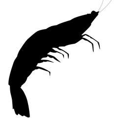 shrimp silhouette