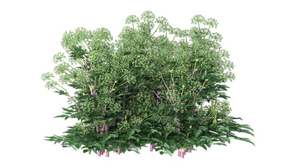 Various types of flowers grass bushes shrub and small plants isolated