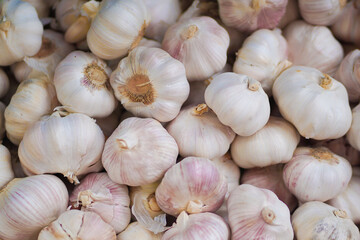 White garlic pile texture. Fresh garlic on market table closeup photo. Vitamin healthy food spice image. Spicy cooking ingredient picture. Pile of white garlic heads. White garlic head heap top view