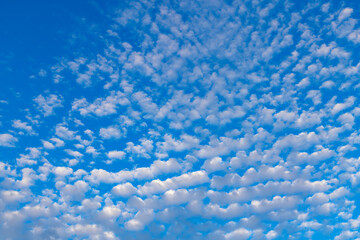 Obraz premium Cloud formations on blue evening sky on Martinique island with dramatic shades of blue and grey. Summer sunlight at dusk before sunset in the caribbean sea. Tropical sky with gradient yellow to blue