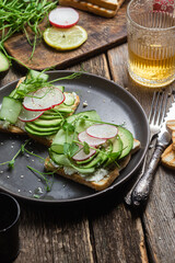 White bread toasts with cream cheese, avocado, cucumber and radish in a plate