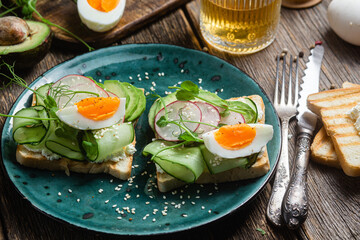 White bread toasts with cream cheese, egg, avocado, cucumber and radish in a plate