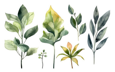 watercolour plant isolated created with Generative AI technology