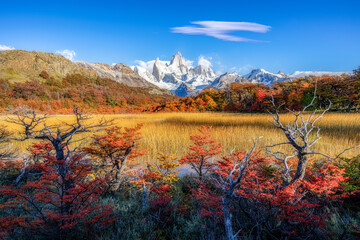 Beautiful scenery view of Mount Fitz Roy with golden yellow fields in the middle image in autumn time near El Chalten, Patagonia in Argentina.