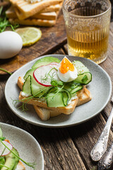 White bread toasts with cream cheese, egg, avocado, cucumber and radish in a plate