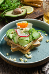White bread toasts with cream cheese, egg, avocado, cucumber and radish in a plate