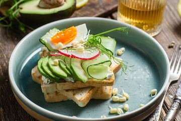 White bread toasts with cream cheese, egg, avocado, cucumber and radish in a plate