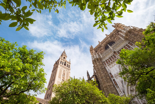 La Giralda bell tower of the Cathedral of Seville wide angle shot from the Patio de los Naranjos (Courtyard of the Orange trees) in Seville, Andalusia, Spain.