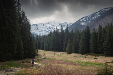 Fototapeta na wymiar tourists in mountain valley trekking