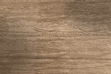 Veneer made from old oak, texture of wood
