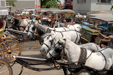 Fototapeta na wymiar Weekend holiday in Istanbul Buyukada, ,Hagios Georgios Church, and horse carriages, phaetons