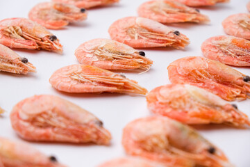 Frozen shrimps in ice on a white background. A lot of royal shrimp close-up.