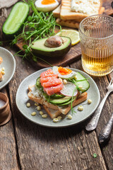 toasts with cream cheese, salmon, egg, avocado, cucumber  in a plate