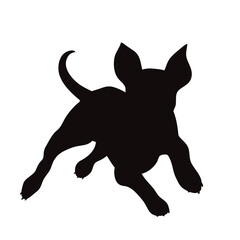 Vector silhouette of jack russell terrier on white background.