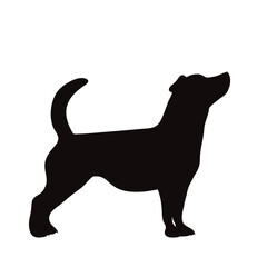 Vector silhouette of jack russell terrier on white background.