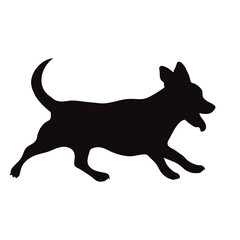 Vector silhouette of jack russell terrier on white background.