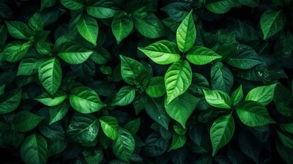 Green leaf background. AI generated.