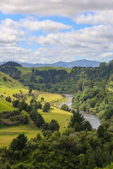 New Zealand Hills