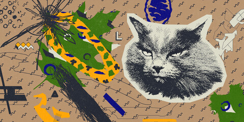 Fashion illustration modern art.  Cat face and аbtract geometry background.  Anti-design.