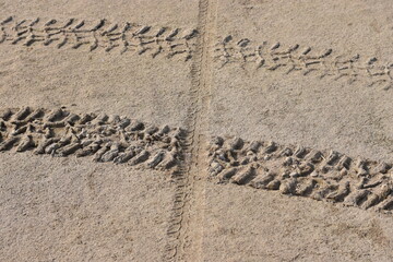 Tracks of four-wheel-drive tires on the sand by the river.