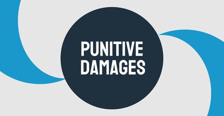Punitive Damages: Additional damages awarded in a lawsuit as a punishment.