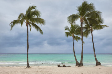 Tropical beach with coconut palm trees on a rainy day.