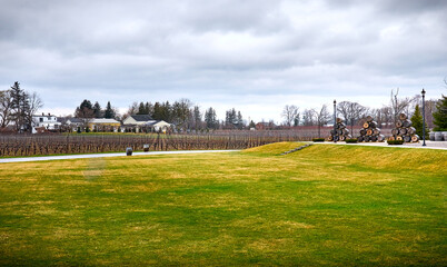 Obraz premium View of the vineyards in spring. Winery in Ontario, Canada