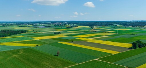 Obraz premium Landwirtschaftliche Nutzflächen im nordschwäbischen Lechtal nahe Sand 