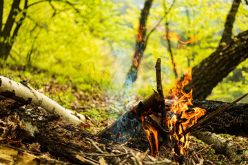 Campfire for cooking in the forest. Burning fire. The fire burns in the forest. Burning fire texture. Burning dry branches. Tourist fire in the forest. Texture of burning branches.