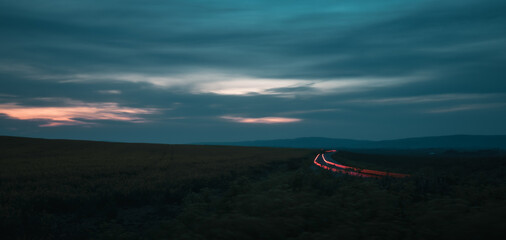 The setting sun above a field of yellow flowers