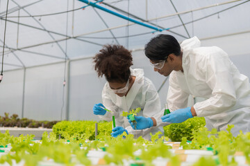 African American researcher and plant genetics expert. Test the quality and bacteria in the...