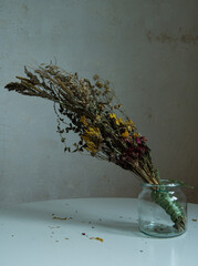 suszone kwiaty polne i zioła © Kornel