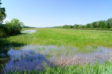 Flood in Emilia Romagna May 2023