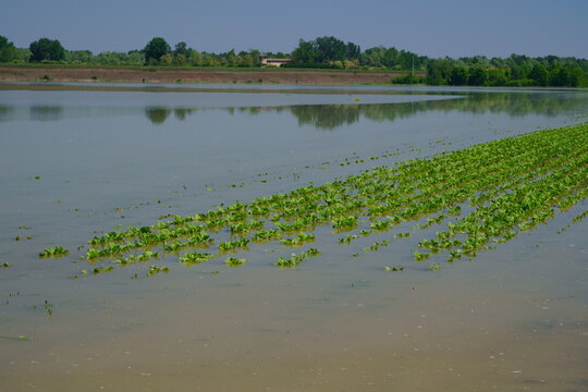 Flood in Emilia Romagna May 2023