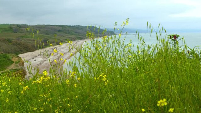 Punta Aderci reserve at Vasto in Abruzzo on an overcast day