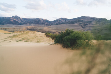 Picturesque view of mountainous terrain with sand and trees