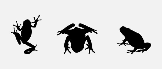 isolated black silhouette of a frog , vector collection