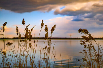 See und Schilf