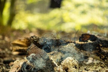 Smoke from a fire in the forest.
Smoldering coals and firewood in smoke on a blurred background. Ashes in the barbecue