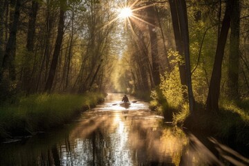 Fototapeta premium canoeist paddling through serene forest, with the sun shining through the trees, created with generative ai