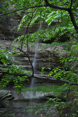 Beautiful waterfall in the distance behind tree leaves