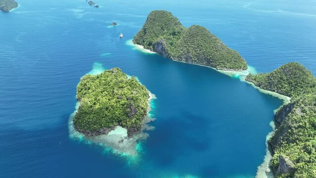 Healthy fringing coral reefs grow around the dramatic limestone islands that rise from Raja Ampat's seascape. This remote part of Indonesia is known for its incredibly high marine biodiversity.
