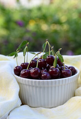 ripe cherry berries on a branch