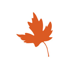 maple leaf color